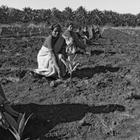 SankalpTaru Foundation